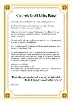 Gratitude for All Living Beings01